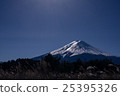 Susuki and Mt. Fuji 25395326