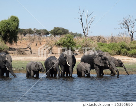 喬貝國家公園 25395690