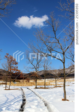 雪書多雪的雪原 25395950