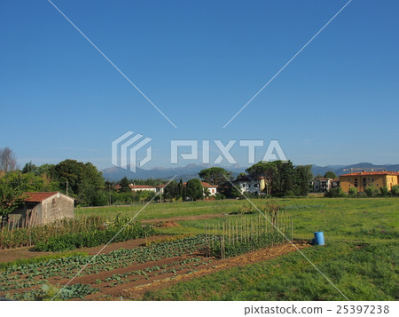 Italy suburbs 25397238