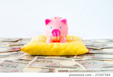 Banknotes and piggy bank savings piggy bank money luck up investment 25397364
