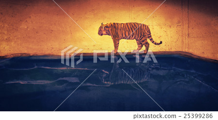 Dreamtiger 25399286