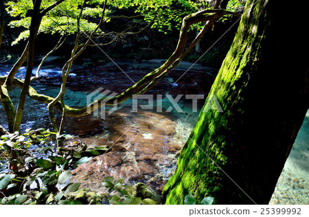 Surrounding view of Fushin stall of waterfall 25399992