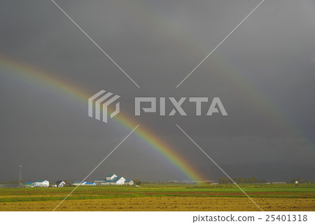 Field and rainbow Field and rainbow 25401318