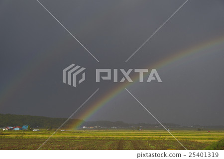 Field and rainbow Field and rainbow 25401319