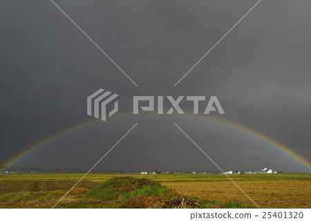 Field and rainbow Field and rainbow 25401320