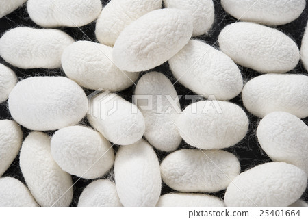 Jasper Jasper 25401664