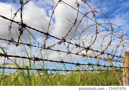 Barbed wire Barbed wire 25405976