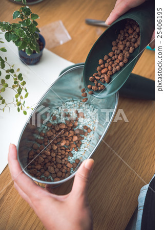 Indoor gardening 25406195