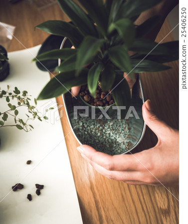 Indoor gardening 25406250