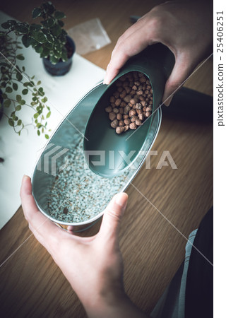 Indoor gardening Indoor gardening 25406251