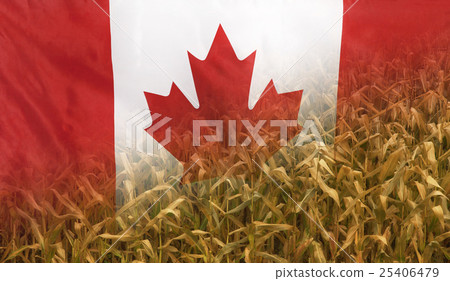 Canada Nutrition Concept Corn field fabric Flag 25406479