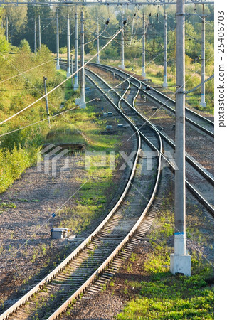 Railroad tracks in forest vertical view Railroad tracks in forest vertical view 25406703