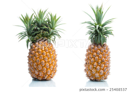 Genetic Modification, pineapple, fruit 25408537