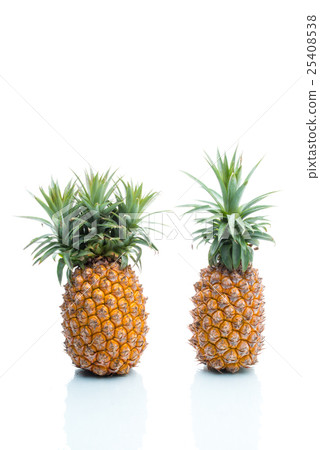 Genetic Modification, pineapple, fruit Genetic Modification, pineapple, fruit 25408538