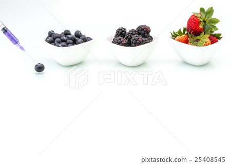 Genetic Modification, blueberry, blackberry 25408545