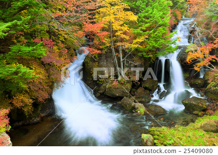 [Tochigi Prefecture] Okunikko Ryuzu Falls 25409080