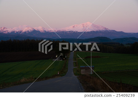 發光在日落的雪山 25409239