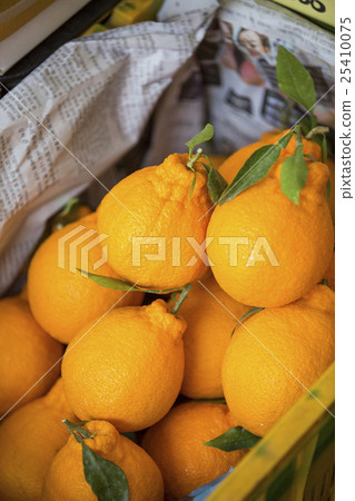 Korean Traditional Market Scene Korean Traditional Market Scene 25410075