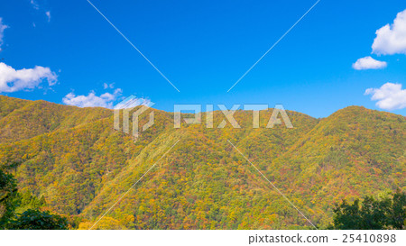 秋葉16:9 秋葉16:9 25410898