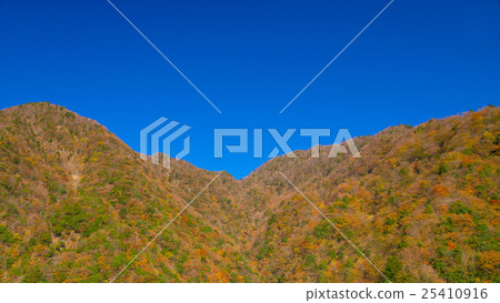 Autumn leaves 16: 9 25410916