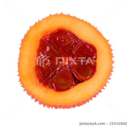 Baby Jackfruit, Spiny Bitter Gourd Baby Jackfruit, Spiny Bitter Gourd 25410988