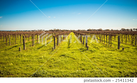 McLaren Vale wineries 25411342