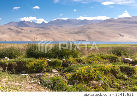 Tso Moriri Lake with Great Himalayan Range 25413631
