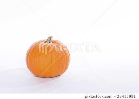 Jumbo pumpkins Halloween pumpkins Deca pumpkin 25413981