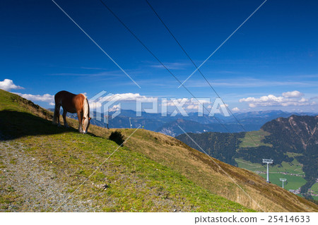 Mountain view from the top - Alpbach valley Mountain view from the top - Alpbach valley 25414633