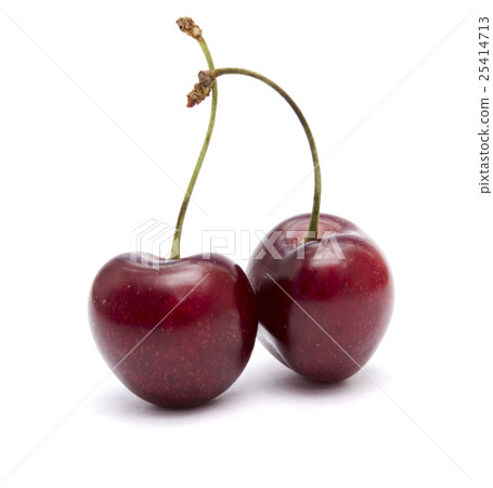 two cherries 25414713