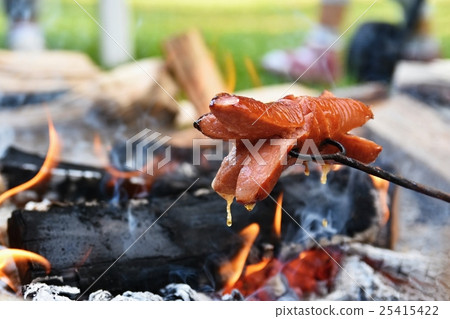 Roasting sausages over a fire. Camping in nature Roasting sausages over a fire. Camping in nature 25415422