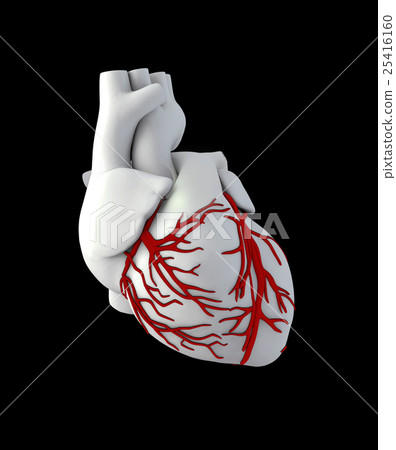 圖庫插圖: illustraton anatomy of human heart - isolated on