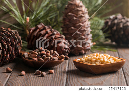 Cedar nuts and branch with cone 25417123