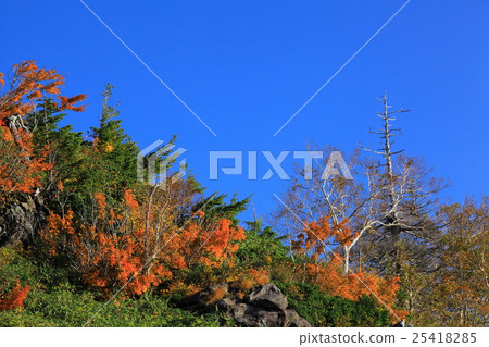Autumn leaves of Hachimantaira 25418285
