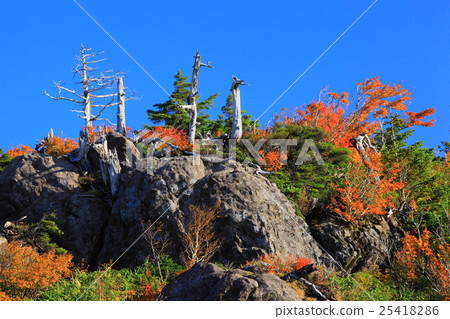 Autumn leaves of Hachimantaira Autumn leaves of Hachimantaira 25418286