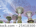 Garden by the Bay 25418300