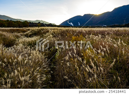Take the original mooring evening landscape autumn scenery 25418441
