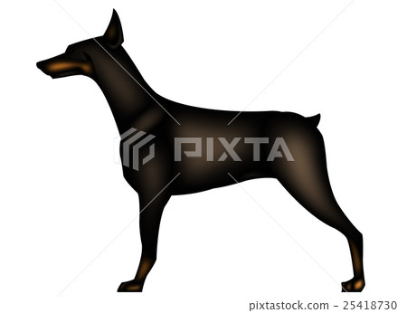  Doberman 25418730