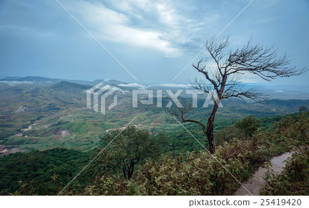 Beautiful landscape in a cloudy day Beautiful landscape in a cloudy day 25419420