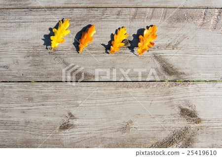 Autumn leaves on a table 25419610