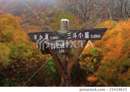 Yuhaira Road Followers Yuhaira Road Followers 25419623