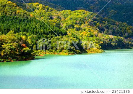 Autumn leaves of Senboku-shi Takaraen Lake 25421386
