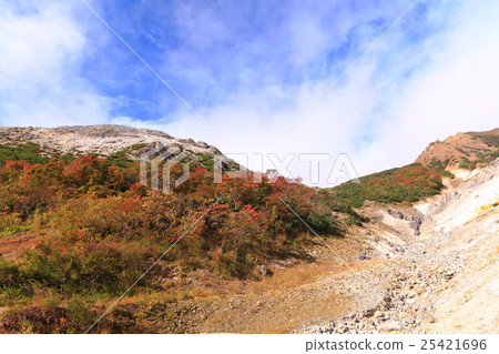 Autumn leaves of Mt.Aigakusama (Bandai Azuma Skyline) 25421696