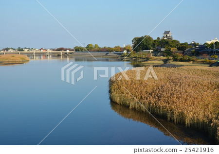 中津城 25421916