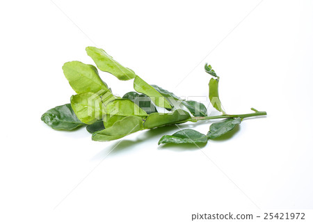 Lemon lime leaf bunch Lemon lime leaf bunch 25421972