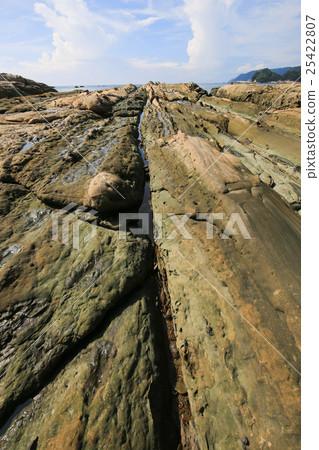 Kochi Prefecture Tosashimizu City Tatsumo Coastal Sandpipe Kochi Prefecture Tosashimizu City Tatsumo Coastal Sandpipe 25422807