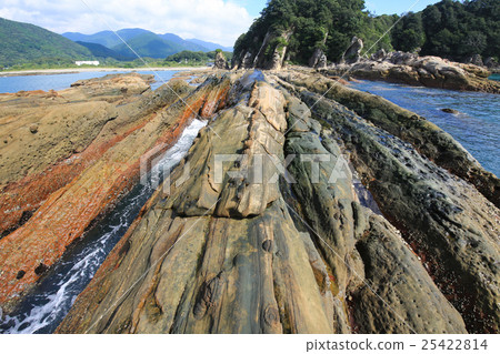 高知縣土佐清水市Tatsumo Coastal Sandpipe 高知縣土佐清水市Tatsumo Coastal Sandpipe 25422814