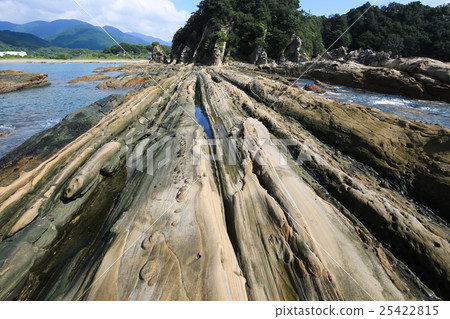 高知縣土佐清水市Tatsumo Coastal Sandpipe 高知縣土佐清水市Tatsumo Coastal Sandpipe 25422815