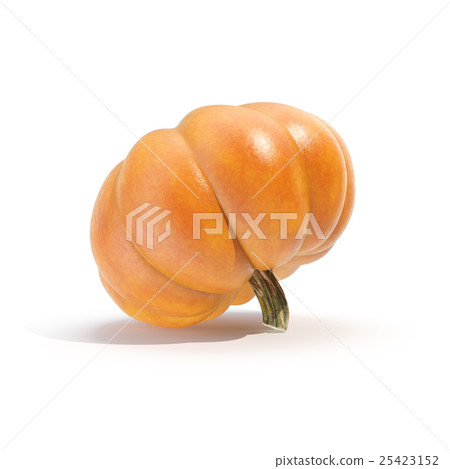 Pumpkin isolated on white bakcground. 3d rendering Pumpkin isolated on white bakcground. 3d rendering 25423152